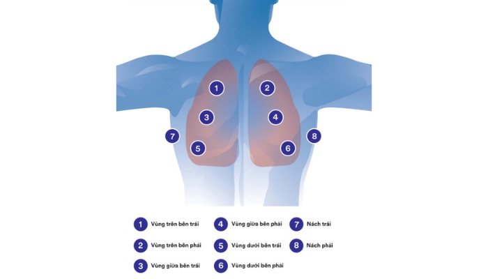 sử dụng ống nghe vị trí phổi