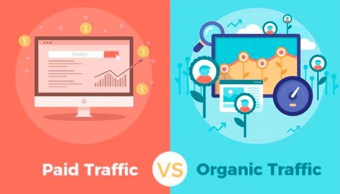 Khác biệt giữa Organic Traffic và Paid Traffic