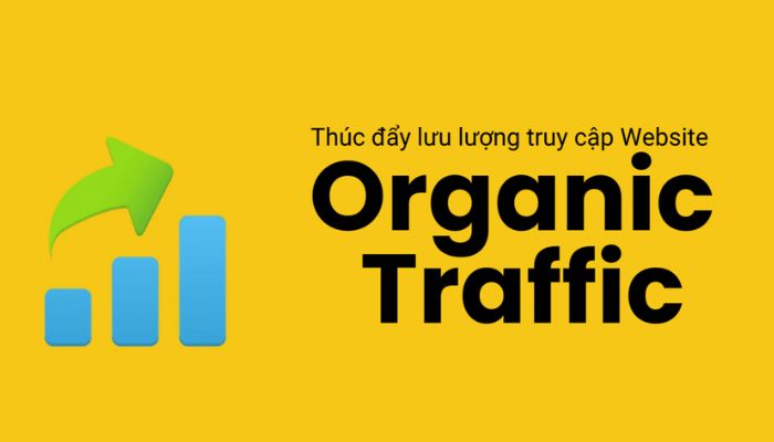 Traffic Là Gì? Chiến thuật SEO để tăng traffic organic hiệu quả 100%
